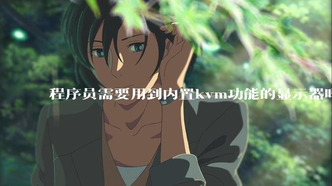 程序员需要用到内置kvm功能的显示器吗?或者是外置的kvm切换器吗?